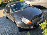 Ford Streetka 1.6 Elegance Elegance - schwarze Ford Streetka