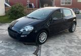 Fiat Punto Young Bj 2014, 69 PS, wenig Km,... - Fiat Punto YOUNG mit Benzin-Antrieb