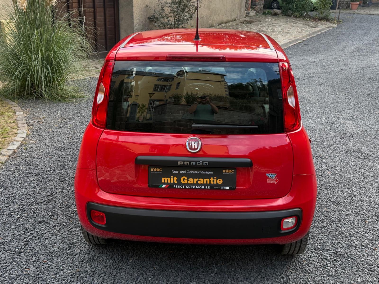 Fiat Panda 1.2 Easy LPG Autogas |1Hand|Neuwertig|LED