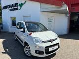 Fiat Panda Lounge/AUT/PANO/SHZ/KLIMA - Fiat Panda: Panoramadach