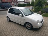 Volkswagen Lupo (TÜV neu) Limited Edition GTI-Optik - Volkswagen Lupo: Kleinwagen, GTI