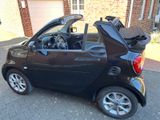 Smart ForTwo cabrio 60kW EQ Batterie - Leder Navi 22kW - Smart ForTwo
