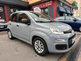 Fiat Panda 1.0 FireFly S&S Hybrid Easy NEOPATENT - Fiat Panda EASY mit Hybrid-Antrieb (Benzin/Elektro)