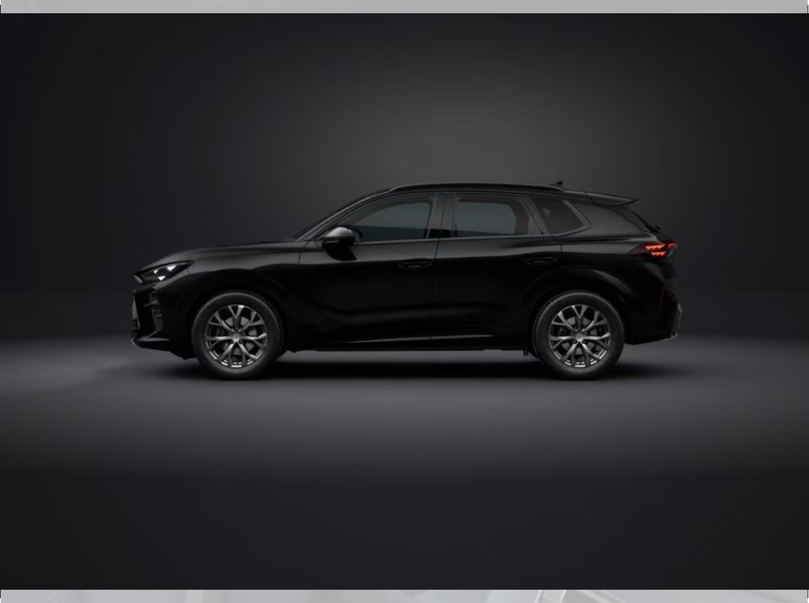 Cupra Terramar - Bild 2