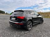 Audi Q5 8R 3.0 TDI - Audi Q5 8R Gebrauchtwagen
