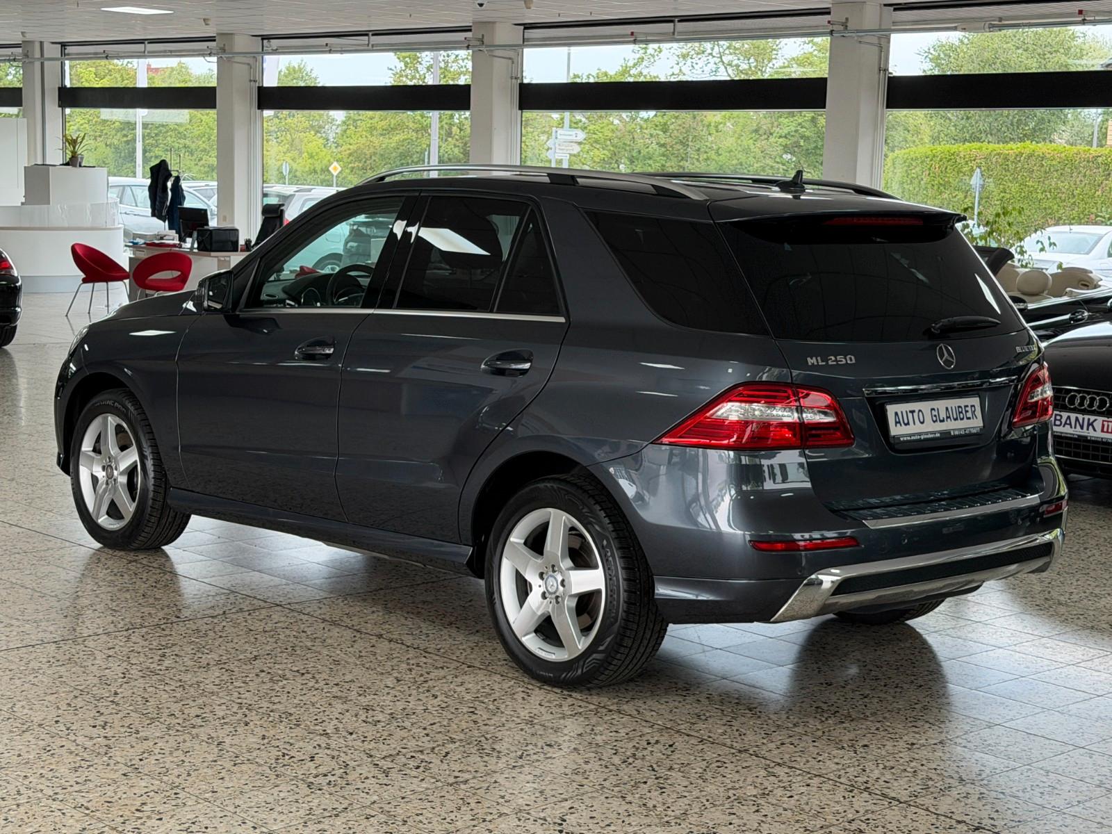 Mercedes-Benz ML 250 CDI BlueTec/4Matic/AMG/Xenon/Navi/1.Hand