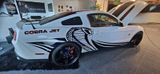 Ford Mustang GT, 4,6 l V8, Coupe, Top Zust... - Ford Mustang: Coupé, 4.6