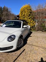 Volkswagen   Käfer /Beetle Cabrio,wunderschön,gepflegt - Volkswagen Käfer Gebrauchtwagen