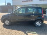 Fiat Panda 1.1 8V Active - Fiat Panda aus 2010