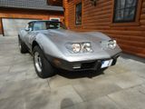 Corvette C3, 78´ Corvette Anniversary Silver Edition - Corvette C3: Cabrio