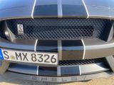 Ford Mustang Shelby GT350  - Ford Mustang: Gt350 Shelby