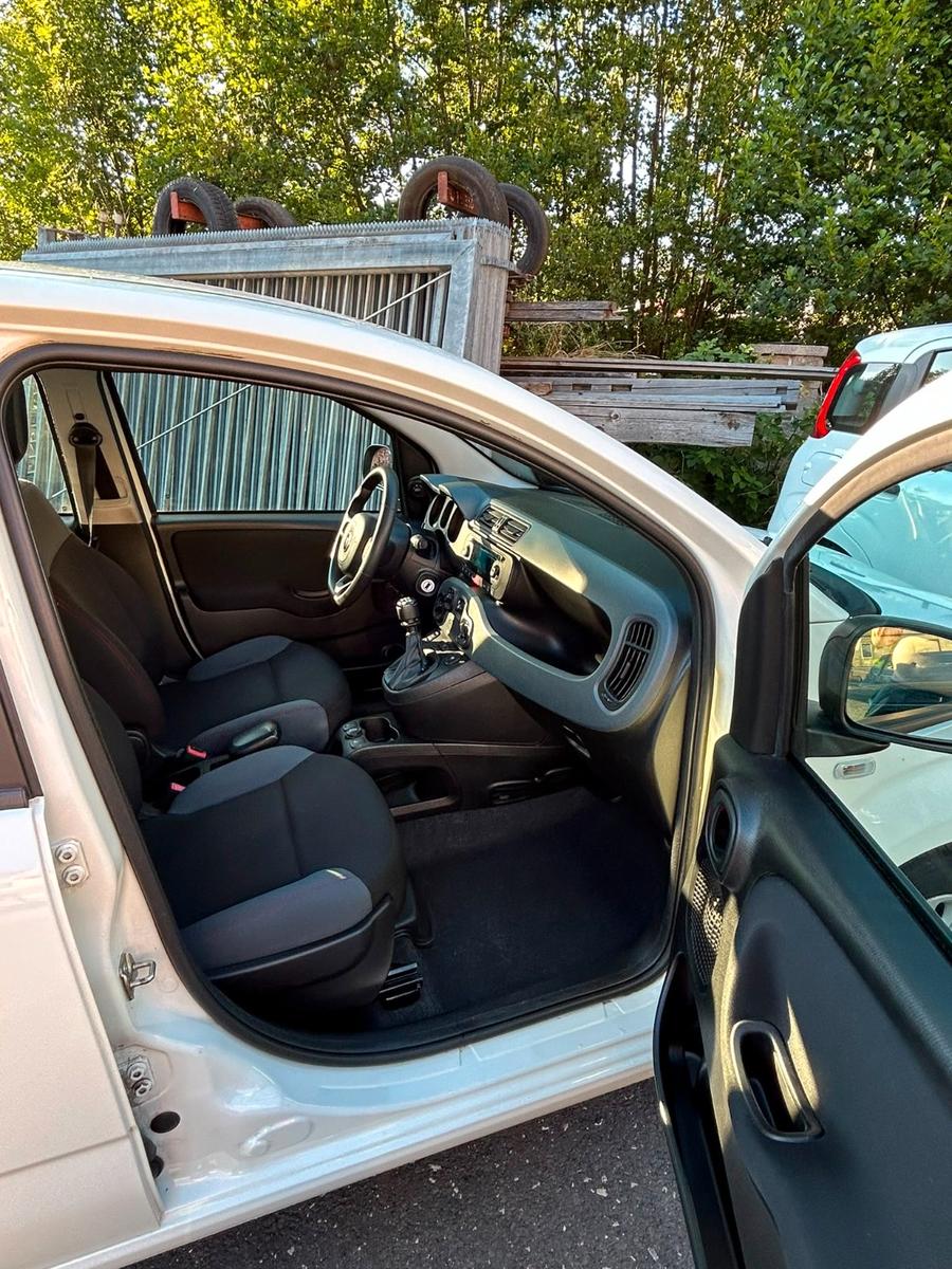 Fiat Panda Easy - Klima - 1 Hand - TÜV neu