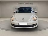 Volkswagen Beetle 1.2 TSI Cup Navi KlimaA. LM PDC SHZ - gebrauchte VW Beetle aus dem Jahr 2015