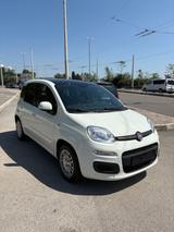 Fiat Panda 1.2 Benzina Young - Fiat Panda: Young