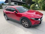 Mazda CX-30 2.0 e-SKYACTIV-G M-Hybrid Vollausstattung 