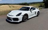 Porsche Cayman GT4 - gebrauchte Porsche Cayman aus dem Jahr 2016