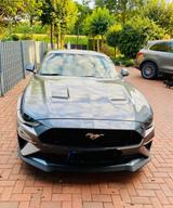 Ford Mustang 5.0 Ti-VCT V8 GT Auto GT - Ford Mustang in Osnabrück