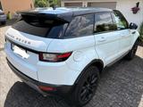 Land Rover Range Rover Evoque 2.0 TD4 Pure Pure - Land Rover Range Rover Evoque Geländewagen Td4 pure mit Diesel-Antrieb