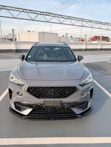 Andere Cupra Formentor VZ 310 / KW / Brembo / Max... - Andere aus 2020