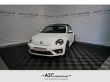 Volkswagen Beetle Allstar 1.2 TSI Bi-Xenon+Navi+Kamera+18'' - Volkswagen Beetle aus 2016