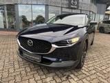 Mazda CX-30 2.0L e-SKYACTIV G 122ps Homura Allwetterre - gebrauchte Mazda CX-30 aus dem Jahr 2024