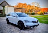 Skoda Octavia 1.8 TSI DSG 4x4 Scout 62.000 km - Skoda Octavia: Allradantrieb, 1.8
