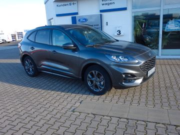 Bild 2 Ford Kuga ST-Line (190 PS)FHEV,NAVI,SHZ