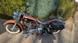 Harley-Davidson Softail Deluxe FLSTN 105 Jahre Jubiläum -Selten- - Offers matching your search criteria