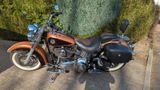Harley-Davidson Softail Deluxe FLSTN 105 Jahre Jubiläum -Selten- - HARLEY-DAVIDSON FLSTN SOFTAIL DELUXE