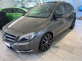 Mercedes-Benz B 250 Night Paket/Pano/Spur/Comand/Xenon/AhK - Mercedes-Benz B 250 aus 2013