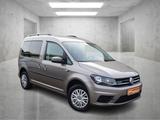 Volkswagen Caddy 1.4 TGI DSG *KAMERA+PDC*SITZHEIZ.*TEMPOMAT - VW Caddy Gebrauchtwagen in Braunschweig