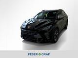 Cupra Terramar VZ 2.0 TSI HUD*RFK*PDC*DCC*LED*NAVI*19" - Used cars