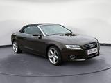 Audi A5 Cabriolet 2.0 TFSI quattro Navi Leder Kamera - Audi A5 Gebrauchtwagen in Düsseldorf