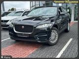 Jaguar F-PACE 20d Pure AHK. NAVI. Kamera. PDC - Jaguar F-Pace: Pure