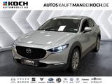 Mazda CX-30 2.0 Hyb.150 Excl-Line NAVI KAMERA LED ACC - Mazda CX-30 Gebrauchtwagen in Berlin