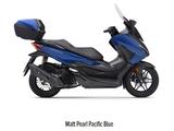 Honda Forza 125  ABS   2025 Modell " Winterdeal" - Offers