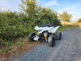 SMC Trasher  - SMC QUAD