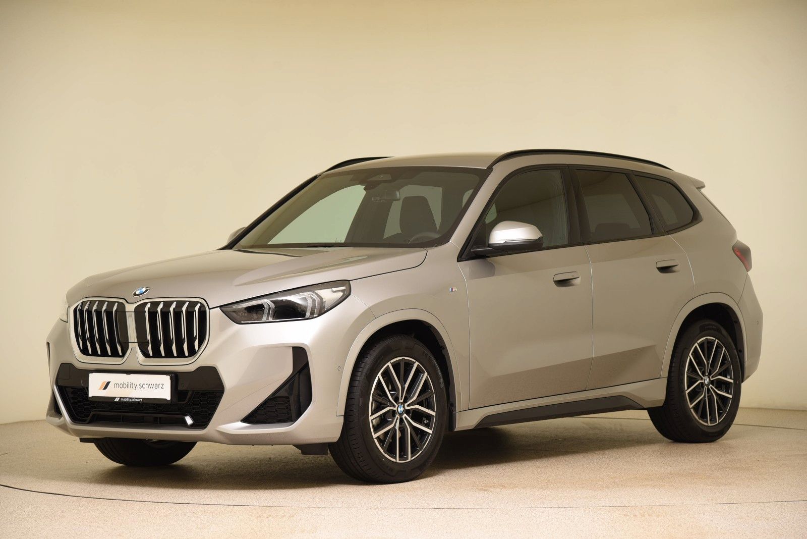 BMW X1 xDrive20d M Sport DriveAss LED AHK Alarm DAB foto 1