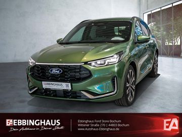 Ford Kuga 2.5 Hybrid ST-Line X 360° Kamera B&O Navi