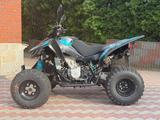 Triton Access Xtreme Enduro 480 - TRITON QUAD