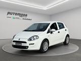 Fiat FIAT Punto 1.3MJT 95CV AUTOCARRO N1 - Fiat Punto mit Diesel-Antrieb: 1.9