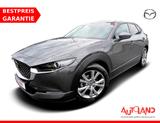 Mazda CX-30 2.0 SKYACTIV-G Navi Head-Up Kamera ACC USB