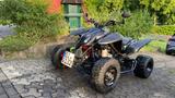 Access Motor Triton 450 | Black Lizzard - QUAD VON 251 BIS 500 CCM