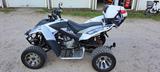 Adly Hurricane - ADLY QUAD