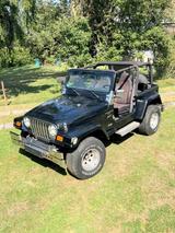 Jeep Wrangler 4.0L Sport Liebhaberstück - Jeep Wrangler in Augsburg