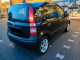 Fiat Panda  1,2 TÜV  bis  Februar  2028 - Fiat Panda Gebrauchtwagen in Osnabrück