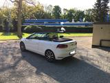 Volkswagen Golf Cabrio Lounge | 1.4 TSI 150 PS | 1. Hand - Volkswagen Golf: Cabrio, Golf4