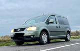 Volkswagen Caddy Maxi - Volkswagen Caddy Maxi aus 2008