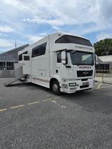 MAN TGM 15.290 - Pop Out, 5 Pferde - Tier- & Pferdetransport für 2 Pferde