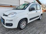 Fiat Panda Easy, KLIMA, TÜV NEU, CITY, 1 Hand - Fiat Panda EASY mit Benzin-Antrieb